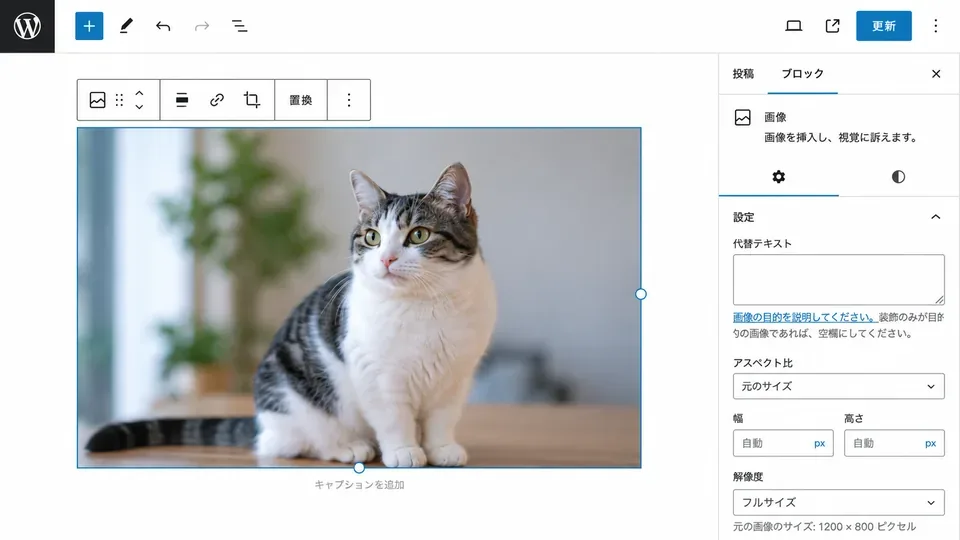 WordPressブロックエディターの画像設定にある代替テキスト欄