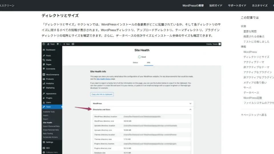 WordPressサイトヘルスの情報画面でサーバーとメディア処理の設定を確認する例